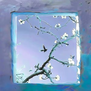 印度女人被添荫蒂免费视频
