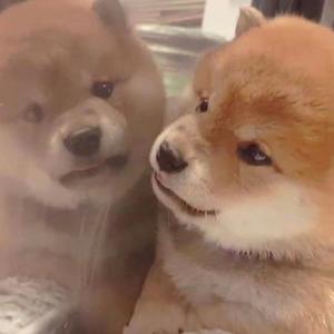 印度女人被添荫蒂免费视频
