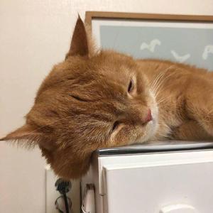 印度女人被添荫蒂免费视频
