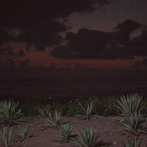 印度女人被添荫蒂免费视频
