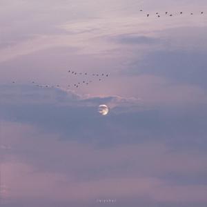 印度女人被添荫蒂免费视频
